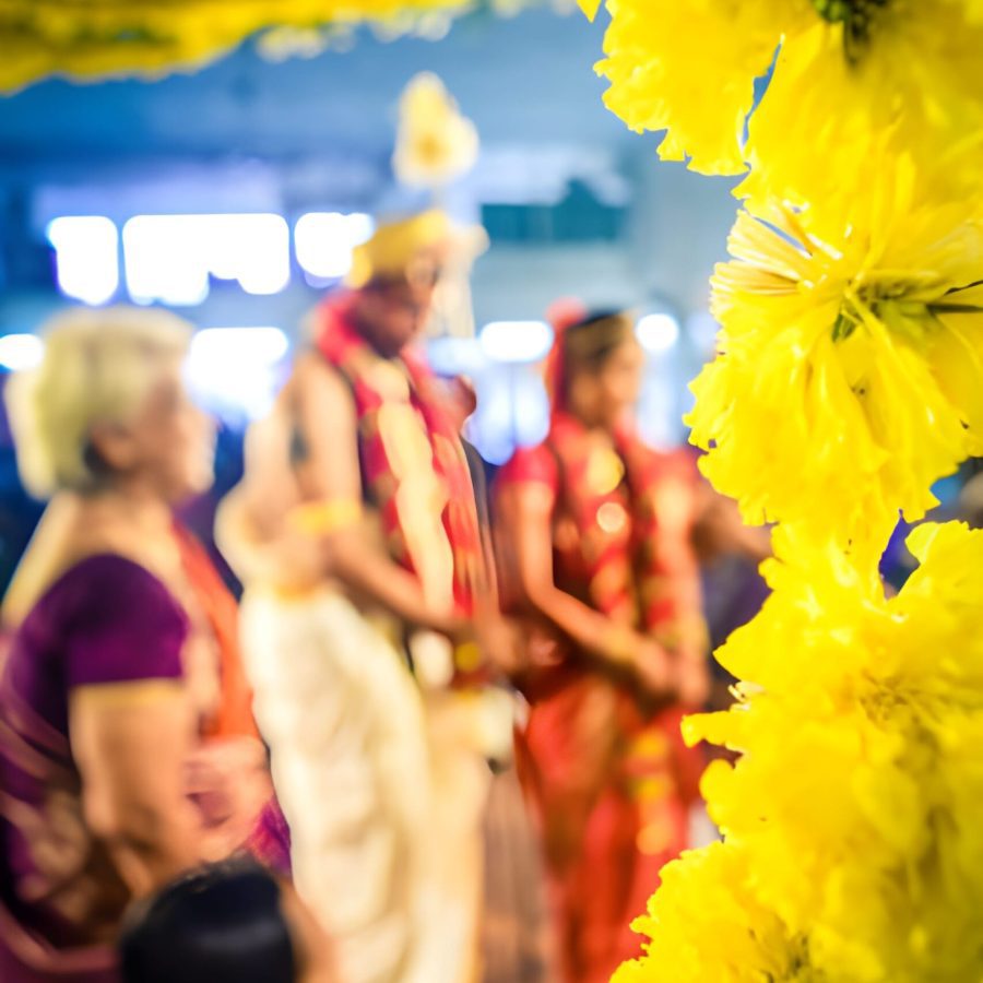 steptodown.com683149